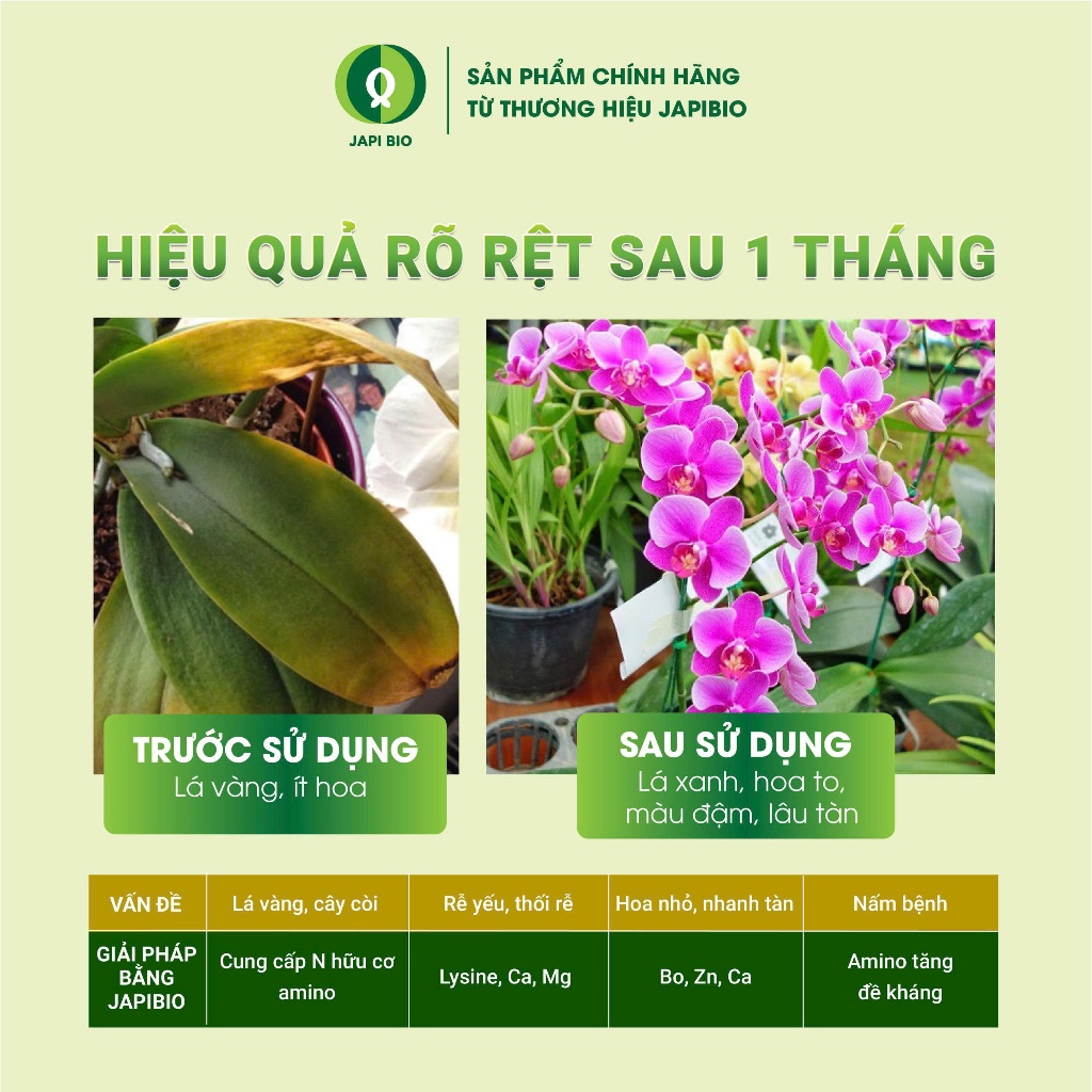 Đạm Cá Hữu Cơ JapiBio Cho Hoa Lan 1L – Đạm Cá Thủy Phân – Tăng Rễ, Lá Dày, Hoa Bền Màu
