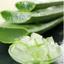 Thạch Nha Đam Ami Nhãn Xanh 1KG
