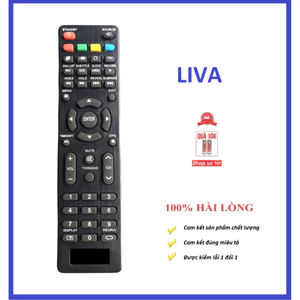 Remote điều khiển tivi liva hàng mới 100% - tặng kèm pin !