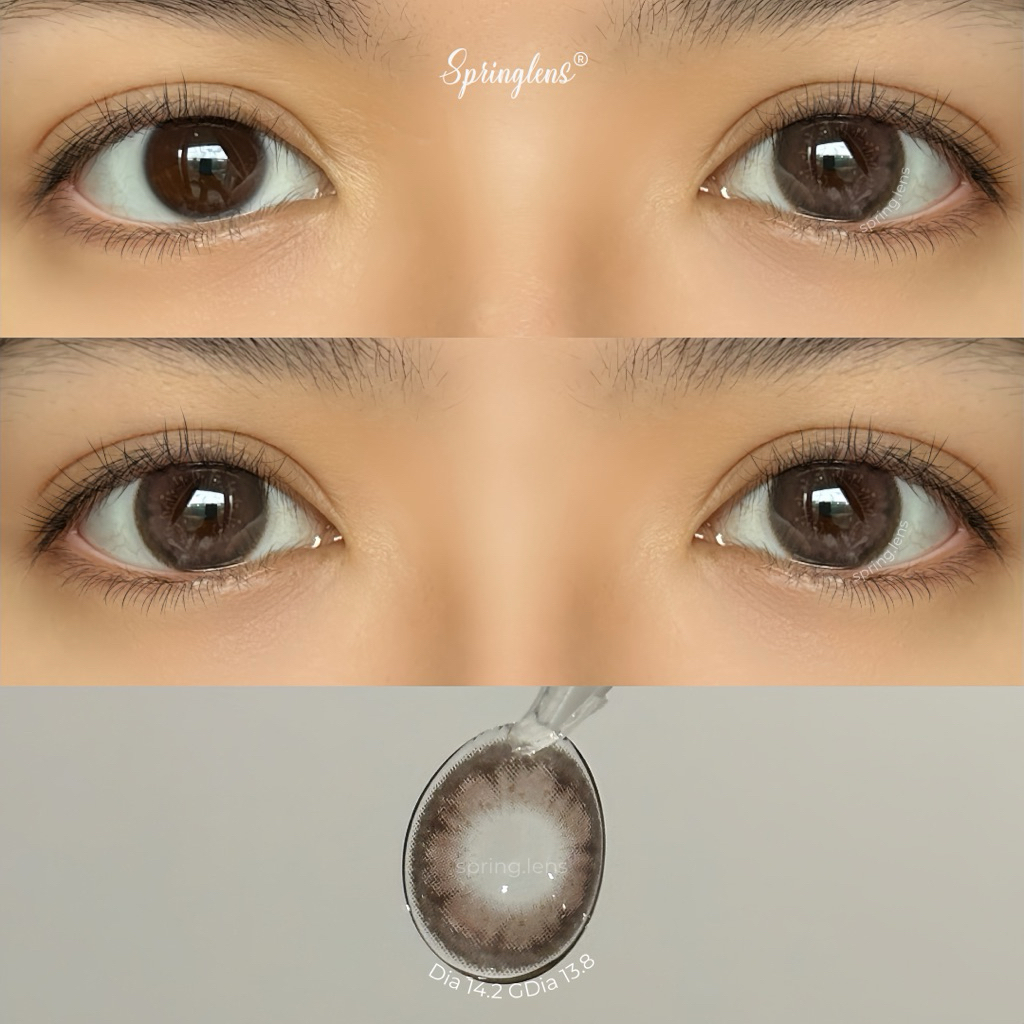 Kính áp tròng Proud Brown nâu hồng đen viền giãn tròng cute douyin Silicone Hydrogel 1 tháng 0-7 độ | Spring Lens