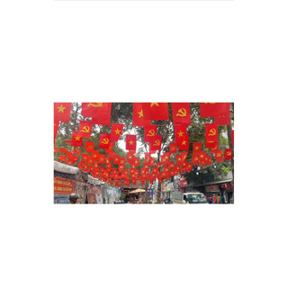 Cờ dây sao đảng 9m in 2 mặt 1 mặt Cờ Tổ Quốc kỳ cờ đỏ sao vàng trang trí ngày lễ Tết trường học quán cafe ngoài trời