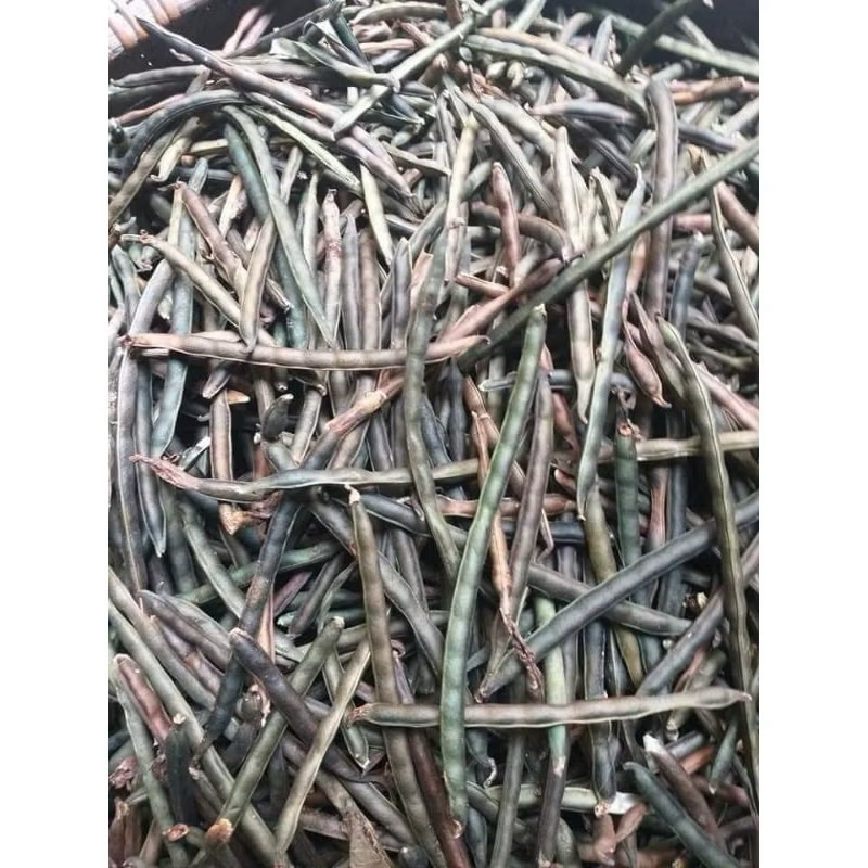 ( Sỉ 10 kg ) Đỗ đen sống  xanh lòng nấu bở, thơm bùi- 10 kg
