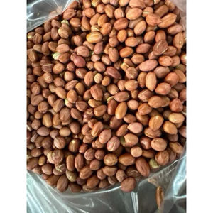 Lạc rang sẵn, nguyên vị giòn ngon- 10 kg