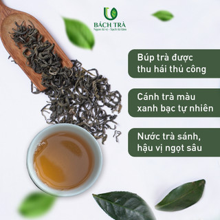 [TẶNG BÌNH] Trà Shan Tuyết Cổ Thụ Bách Trà | Trà Cao Cấp 1 Tôm 2 Lá | Thơm nhẹ , Ngọt Hậu | Pha 3 lần nước | Gói 200g