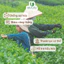 Trà Ô Long Bách Trà | Lên Men Bán Phần | Búp Trà Thơm, Ngọt Nhẹ, Thanh Mát, Giảm Stress | Gói 200g
