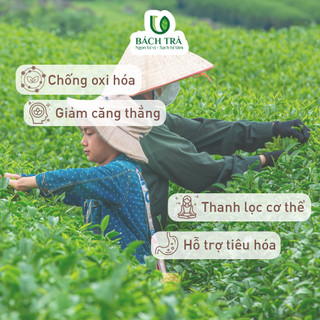 Trà Ô Long Bảo Ngọc Bách Trà | Trà Cao Cấp 1 Tôm 2 Lá Non | Thơm Lâu, Giảm Stress, Thư Giãn | Quà tặng Cá Nhân | Hộp 80g