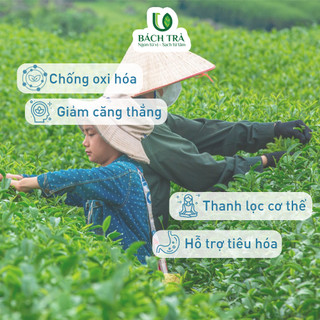 Trà Nhài Cam Túc Bách Trà | Nõn Trà 1 Tôm 1 Lá | Trà Xanh Thái Nguyên Ướp Hoa Nhài | Quà tặng Trà Cao Cấp | Hộp 80g