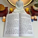 Sách Gieo Duyên - Combo 100 Quyển Kinh Địa Tạng Bổn Nguyện Trọn Bộ Bìa Mềm - Chữ In Rõ Nét Giấy Dày Đẹp - Anan Books — ảnh 5