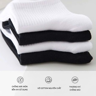 Combo 10 Đôi Tất/Vớ Cổ Ngắn Trắng Cotton Co Giãn, Thoáng Khí, Êm Chân, Dễ Phối Đồ, Nam Nữ Unisex