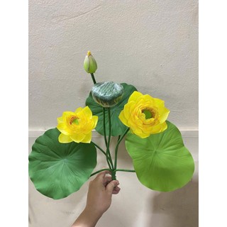 🌸 CỤM SEN CẠN LÁ CAO SU VIP – 7 CHI TIẾT -không kèm chậu🌸