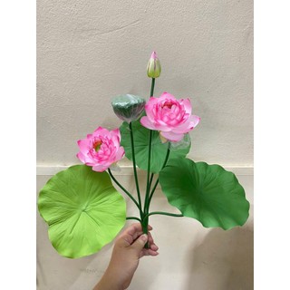 🌸 CỤM SEN CẠN LÁ CAO SU VIP – 7 CHI TIẾT -không kèm chậu🌸