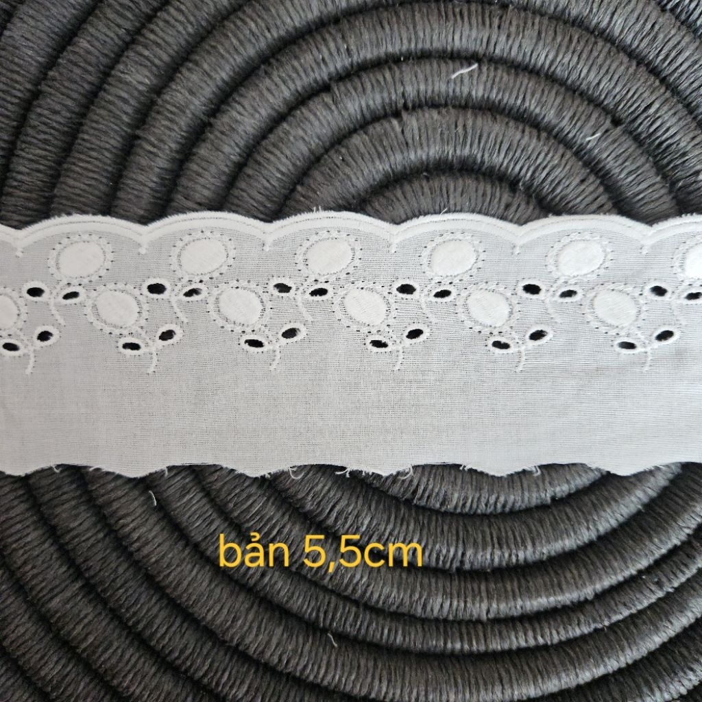 Trắng bản 5,5cm mã 3