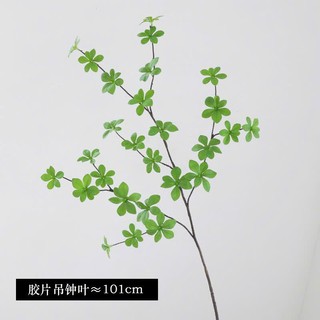🍃 CÀNH THẠCH LAM CAO SU LÁ DÀY – HÀNG LOẠI 1 🍃
