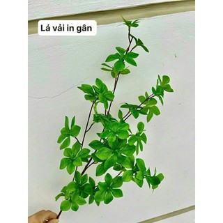 🍃 CÀNH THẠCH LAM CAO SU LÁ DÀY – HÀNG LOẠI 1 🍃