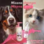 Sữa Tắm Micona - Sữa Tắm Hỗ Trợ Viêm Da, Nấm Da Dành Cho Mèo, Chó
