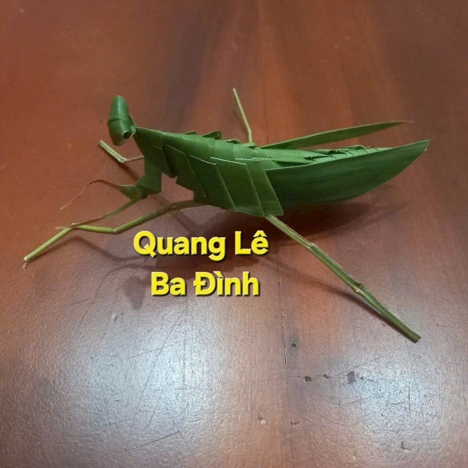 3 Con bọ ngựa lá dừa tinh tế - Quang Lê Ba Đình | Shopee Việt Nam