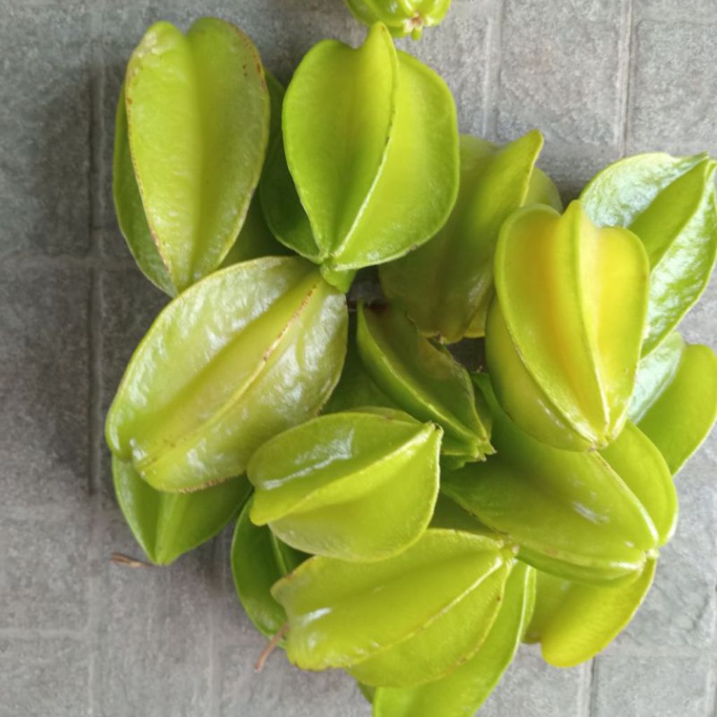 Khế chua cho tóc bóng khỏe