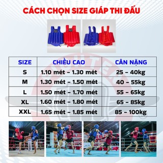 Giáp Thi Đấu Fighter - Võ Cổ Truyền, Muay Thái, Tiêu Chuẩn Thi Đấu Quốc Gia