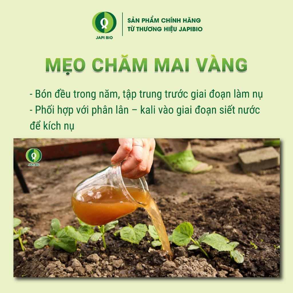 Đạm Cá Cho Cây Cảnh JapiBio 1L – Đạm Cá Cô Đặc – Kích Rễ – Dưỡng Lá – Ra Hoa Đẹp – Không Mùi