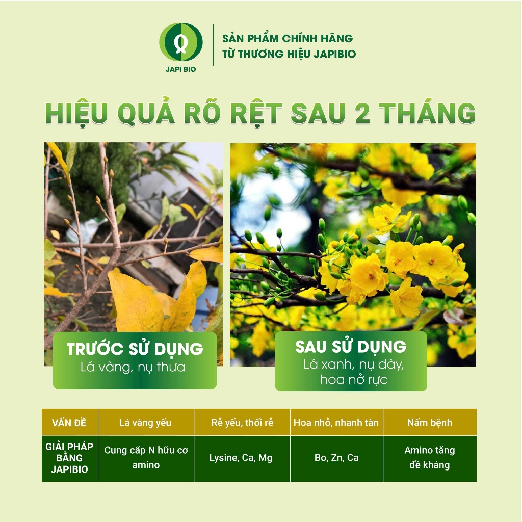 Đạm Cá Cho Cây Cảnh JapiBio 1L – Đạm Cá Cô Đặc – Kích Rễ – Dưỡng Lá – Ra Hoa Đẹp – Không Mùi