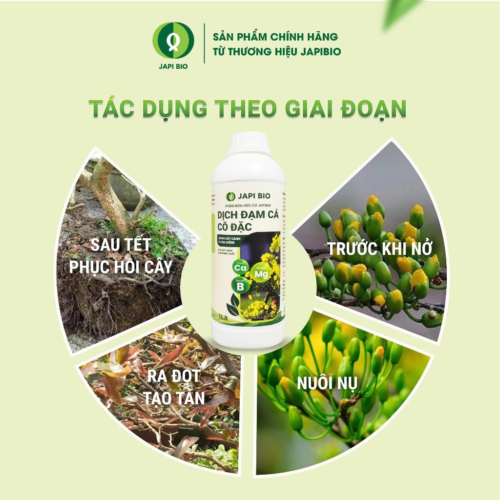 Đạm Cá Cho Cây Cảnh JapiBio 1L – Đạm Cá Cô Đặc – Kích Rễ – Dưỡng Lá – Ra Hoa Đẹp – Không Mùi