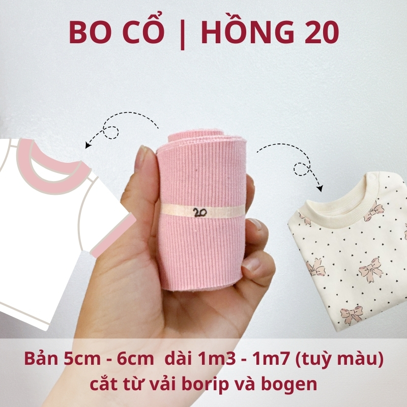số 20
