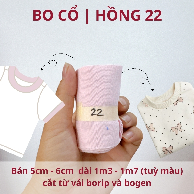 số 22