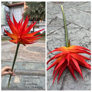 Cành hoa thiên Quỳnh cao su size lớn cao 80cm