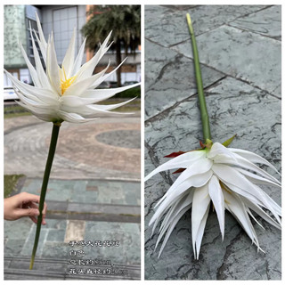 Cành hoa thiên Quỳnh cao su size lớn cao 80cm