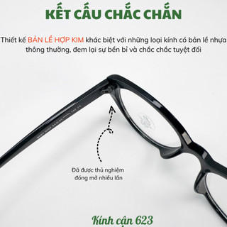 Gọng kính mắt mèo nữ thời trang Hàn Quốc chống tia UV và ánh sáng xanh phong cách tiểu thư HANASO 623