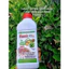 Humic kích rễ chai 1lits