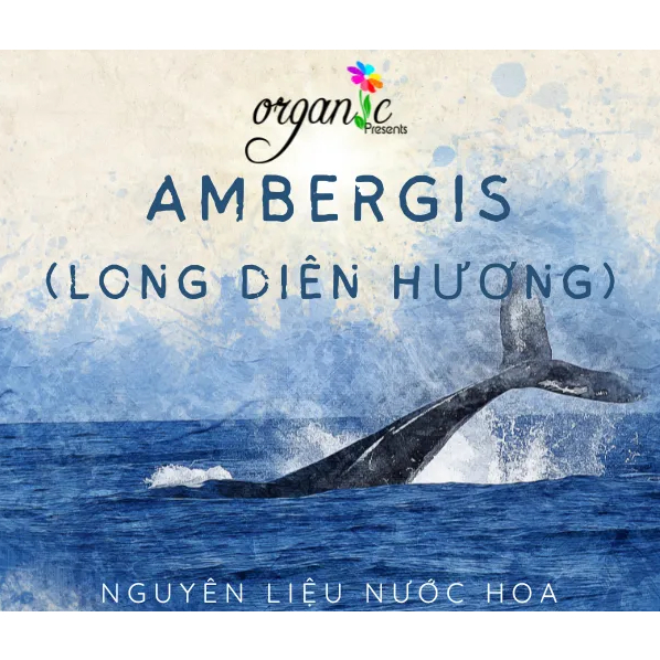 HƯƠNG LONG DIÊN HƯƠNG (AMBERGRIS FRAGRANCE OIL)