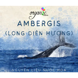 HƯƠNG LONG DIÊN HƯƠNG (AMBERGRIS FRAGRANCE OIL)