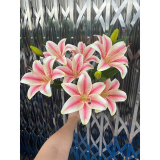 Cành Hoa Ly Giả Cao Su 9 Bông 3 Nụ & 3 Bông 2 Nụ Dài 55cm - Hoa Lụa Cao Cấp Trang Trí Phòng Khách, Bàn Thờ