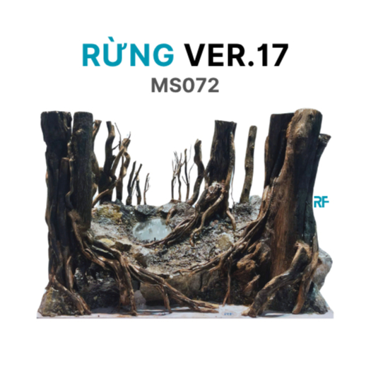 Layout Rừng ver.17 Layout Tiểu cảnh bể cá nhỏ kích thước 30x20x20cm ...