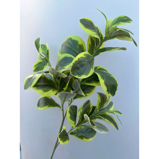 Cành lá derco- cành lá chanh 3 nhánh hàng loại 1 cao cấp (70cm)- cắm bình , điểm chậu hoa, trang trí tổ chức sự kiện