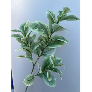 Cành lá derco- cành lá chanh 3 nhánh hàng loại 1 cao cấp (70cm)- cắm bình , điểm chậu hoa, trang trí tổ chức sự kiện