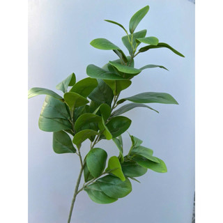 Cành lá derco- cành lá chanh 3 nhánh hàng loại 1 cao cấp (70cm)- cắm bình , điểm chậu hoa, trang trí tổ chức sự kiện