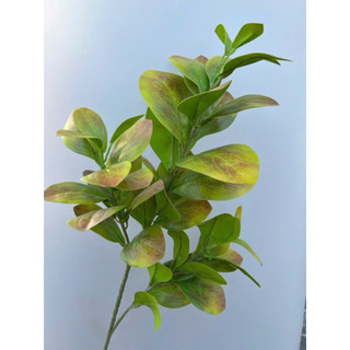 Cành lá derco- cành lá chanh 3 nhánh hàng loại 1 cao cấp (70cm)- cắm bình , điểm chậu hoa, trang trí tổ chức sự kiện