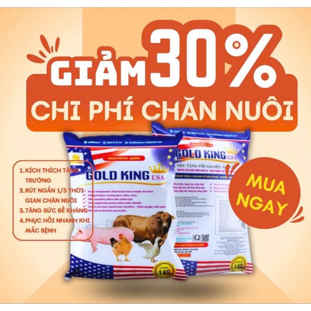 5 GÓI LẺ 100G SIÊU VỖ BÉO GOLDKING USA , VỖ BÉO SIÊU TỐC CHO GIA SÚC - GIA CẦM