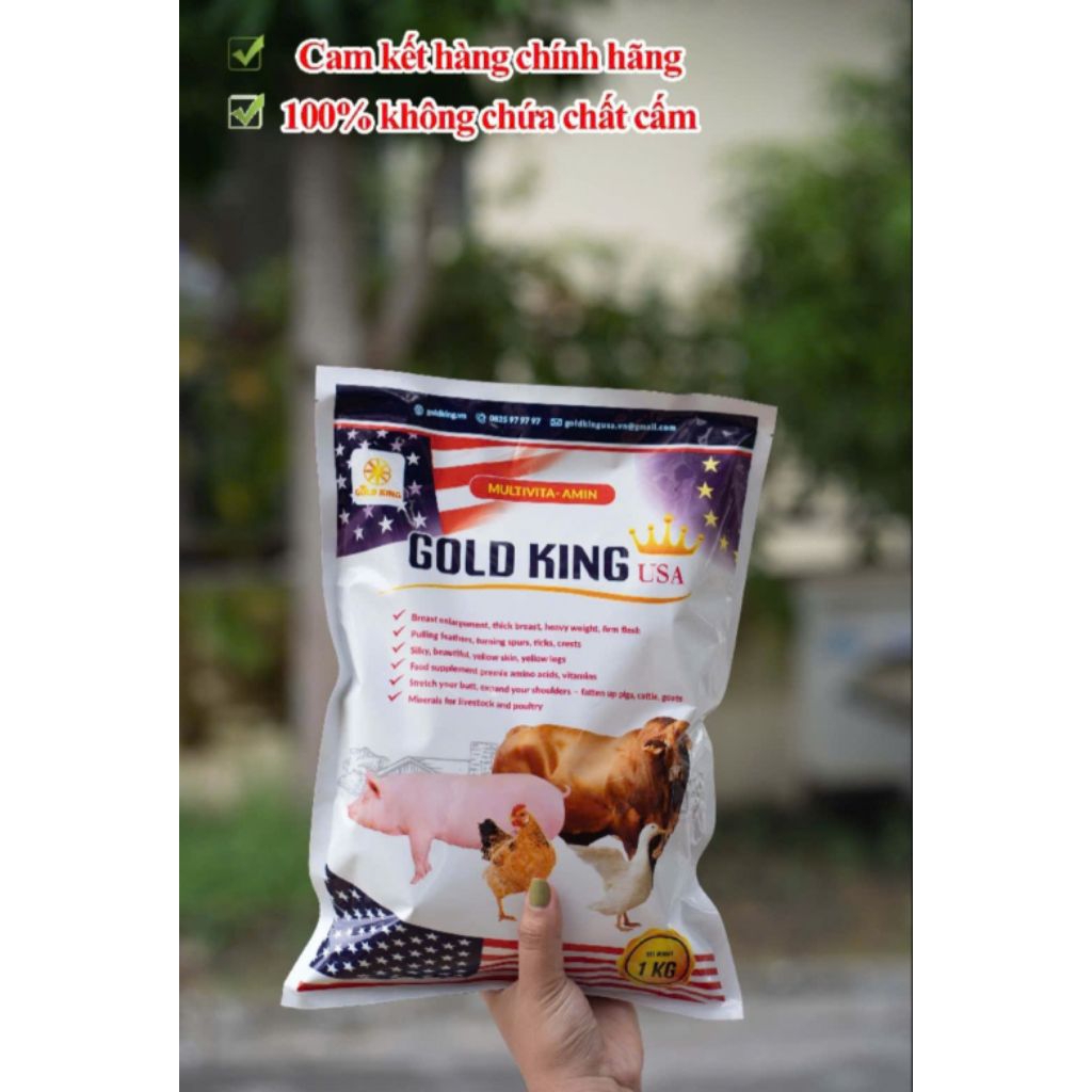 5 GÓI LẺ 100G SIÊU VỖ BÉO GOLDKING USA , VỖ BÉO SIÊU TỐC CHO GIA SÚC - GIA CẦM