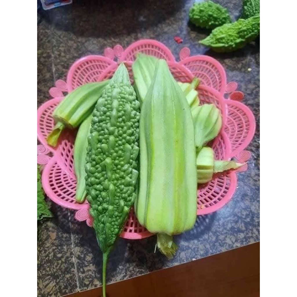 Hạt Giống Đậu Bắp Khổng Lồ Mỹ David ♥️ Non Ngọt🍀Chất Lượng Cao