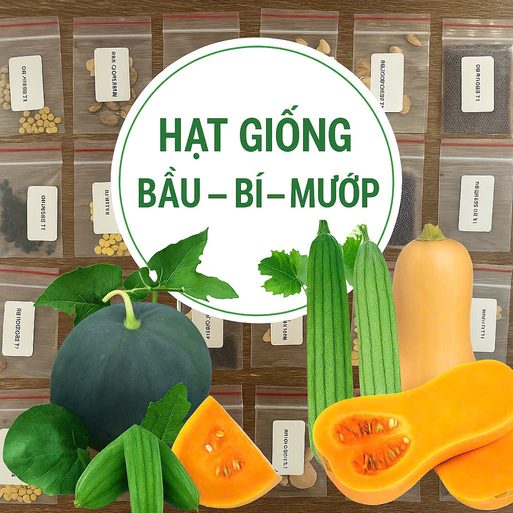 Hạt Giống Cây Leo Giàn – Dễ Trồng, Nhiều Trái – Mướp Hương, Mướp Đắng, Bầu Hồ Lô, Bí Đỏ