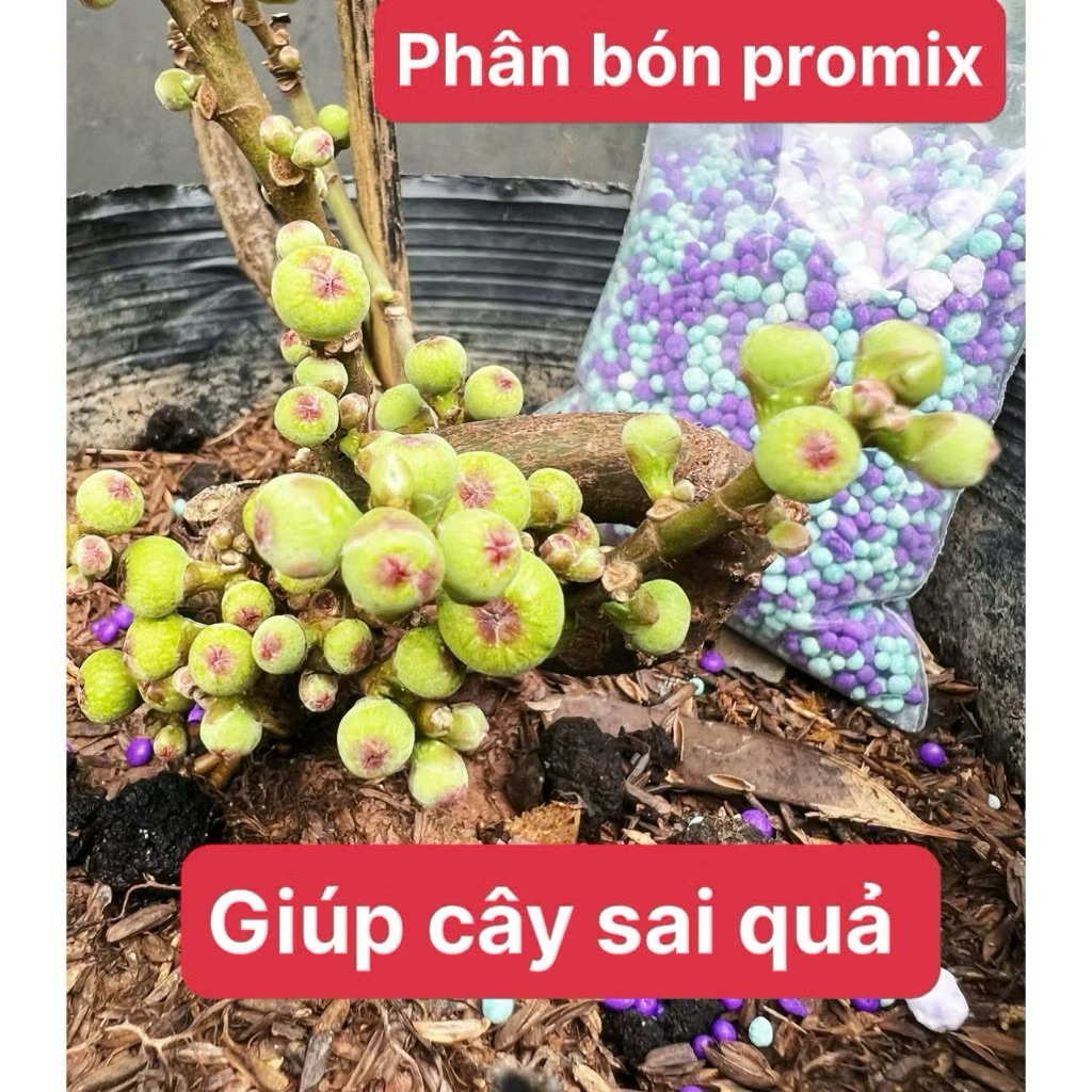 1 gói phân mix - kích cây ra quả