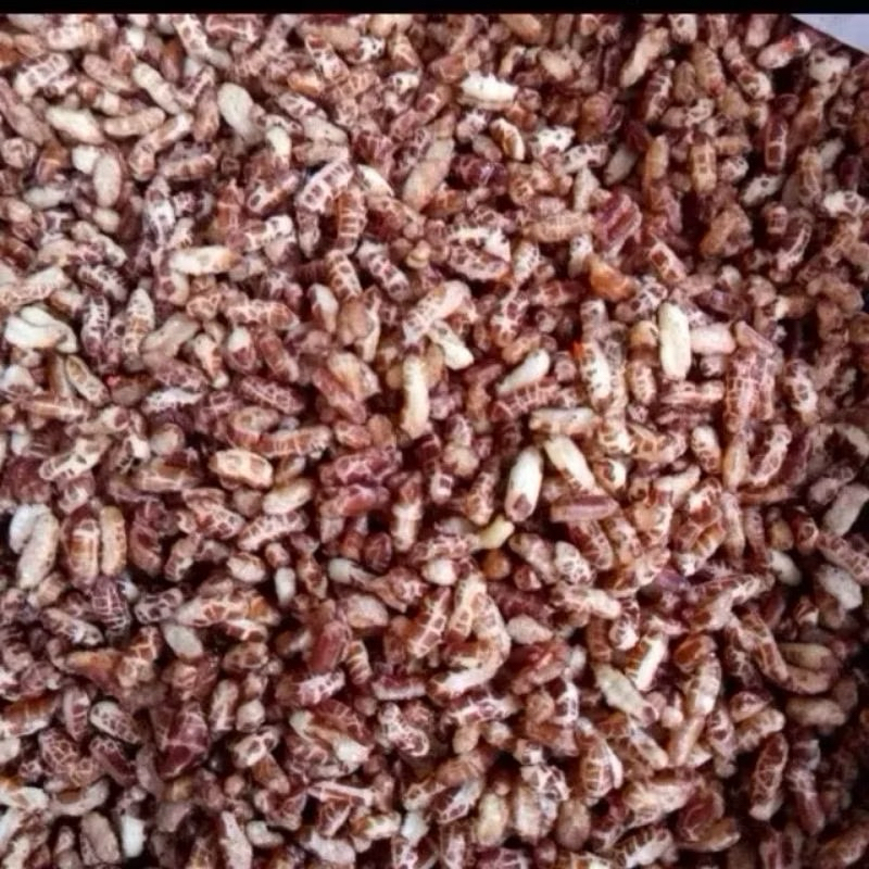 (Sỉ 10 kg) Gạo lứt sấy giòn hàng mới đóng túi xá -10 kg