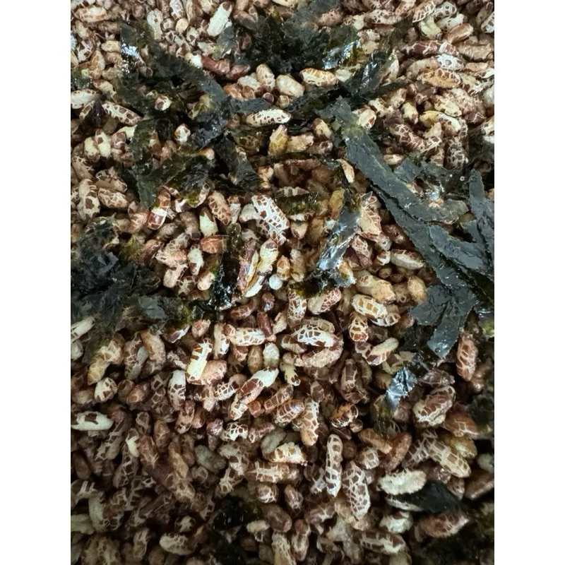 (Sỉ 10 kg) Gạo lứt sấy giòn hàng mới đóng túi xá -10 kg