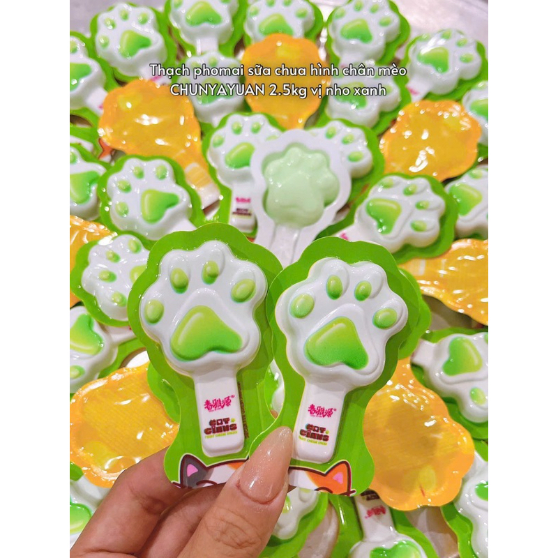 { HÀNG MỚI sỉ THÙNG 2,5 KG ] THẠCH PUDDING HƯƠNG VỊ TRÁI CÂY THƠM NGON