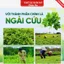 Thảm Ngải Cứu, Đệm Sưởi Ngải Cứu Đông Y, Sản Phẩm Giúp Thư Giãn Đả Thông Kinh Mạch, Giảm Nhức Mỏi Vai Gáy