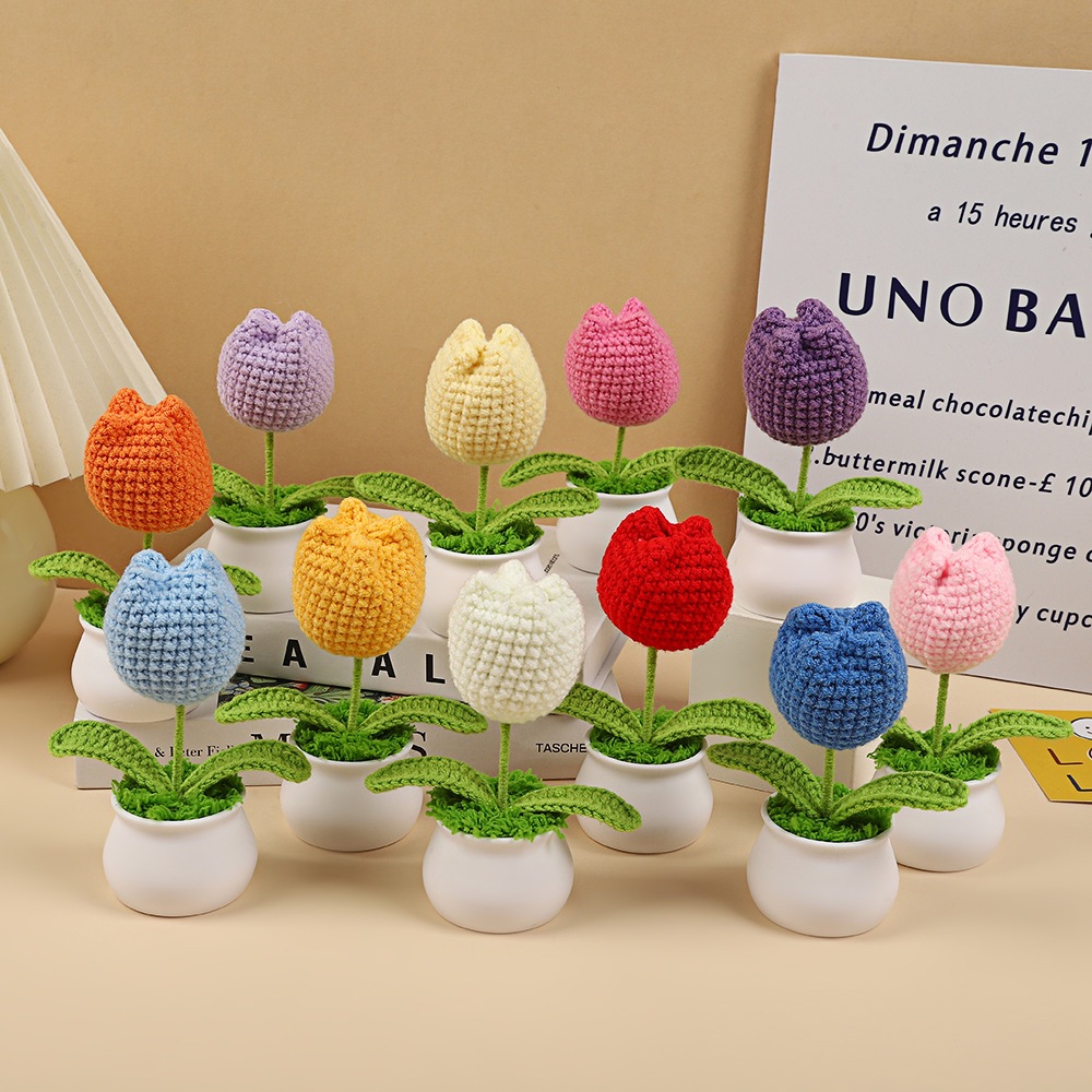 10+ Ý Tưởng Cắm Hoa Len Hoa Kẽm Khiến Không Gian Trở Nên Lung Linh