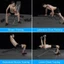 Ghế Tập Gym Tại Nhà 8006 Điều Chỉnh Đa Năng, Ghế Tập Tạ Gấp Gọn Chịu Tải 200kg(1 Đổi 1 Trong 7 Ngày)
